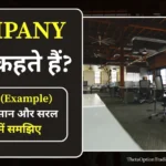 "company meaning in hindi"
